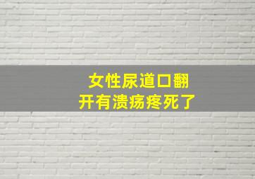 女性尿道口翻开有溃疡疼死了