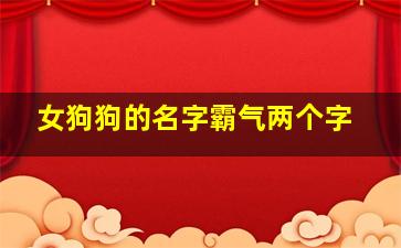 女狗狗的名字霸气两个字