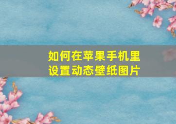 如何在苹果手机里设置动态壁纸图片