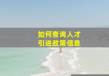 如何查询人才引进政策信息