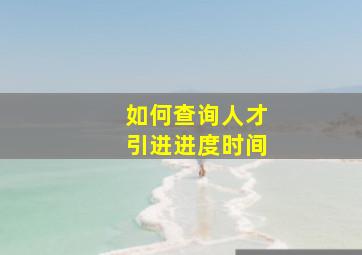 如何查询人才引进进度时间