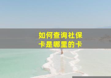 如何查询社保卡是哪里的卡