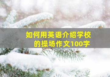 如何用英语介绍学校的操场作文100字