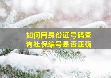 如何用身份证号码查询社保编号是否正确