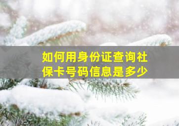 如何用身份证查询社保卡号码信息是多少