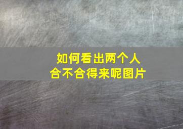 如何看出两个人合不合得来呢图片