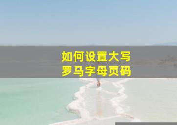 如何设置大写罗马字母页码