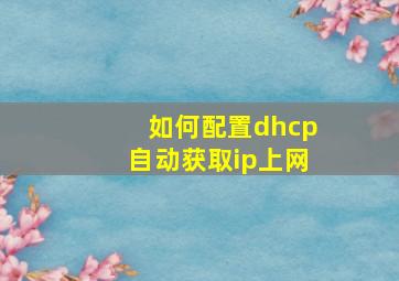 如何配置dhcp自动获取ip上网