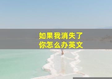 如果我消失了你怎么办英文