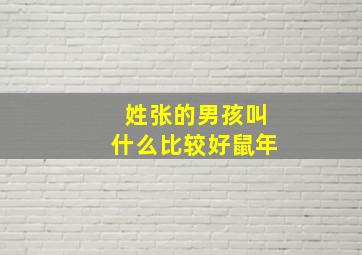 姓张的男孩叫什么比较好鼠年