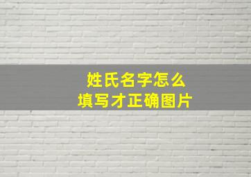 姓氏名字怎么填写才正确图片