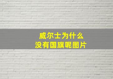 威尔士为什么没有国旗呢图片