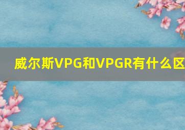 威尔斯VPG和VPGR有什么区别