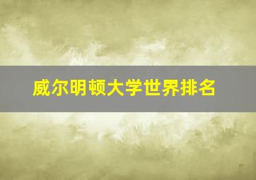 威尔明顿大学世界排名