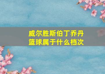 威尔胜斯伯丁乔丹篮球属于什么档次