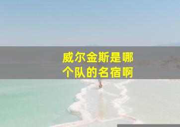 威尔金斯是哪个队的名宿啊