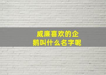 威廉喜欢的企鹅叫什么名字呢