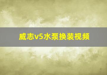 威志v5水泵换装视频