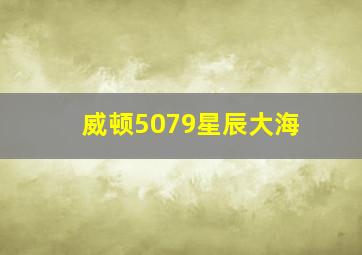 威顿5079星辰大海