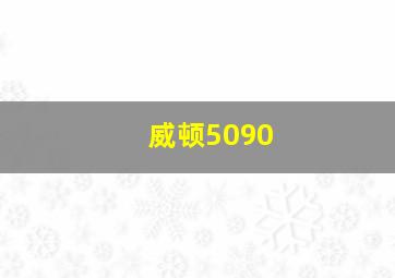 威顿5090