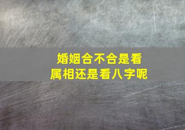 婚姻合不合是看属相还是看八字呢