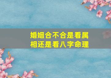 婚姻合不合是看属相还是看八字命理