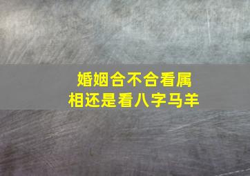 婚姻合不合看属相还是看八字马羊