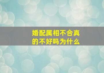 婚配属相不合真的不好吗为什么