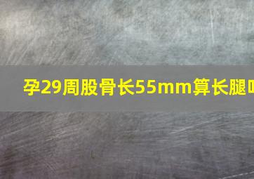 孕29周股骨长55mm算长腿吗