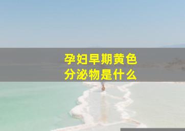 孕妇早期黄色分泌物是什么