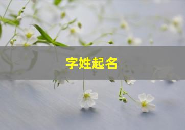 字姓起名