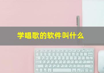 学唱歌的软件叫什么