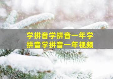 学拼音学拼音一年学拼音学拼音一年视频