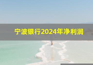 宁波银行2024年净利润