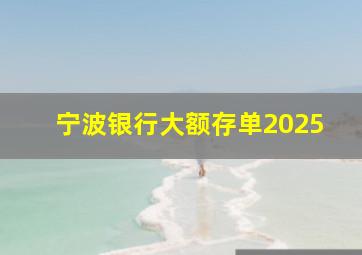 宁波银行大额存单2025