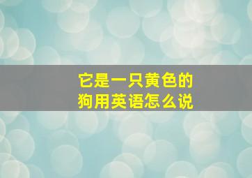 它是一只黄色的狗用英语怎么说