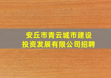 安丘市青云城市建设投资发展有限公司招聘