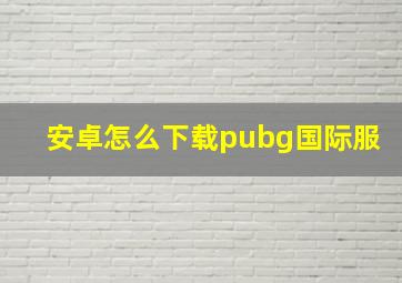 安卓怎么下载pubg国际服