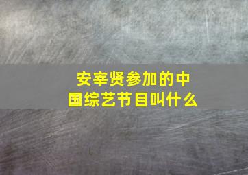 安宰贤参加的中国综艺节目叫什么