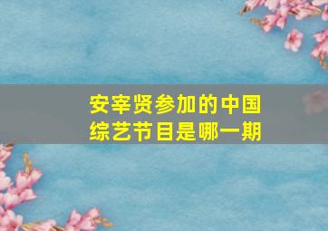 安宰贤参加的中国综艺节目是哪一期