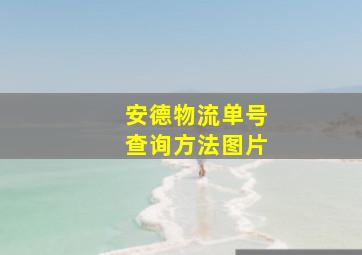 安德物流单号查询方法图片