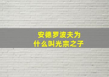 安德罗波夫为什么叫光宗之子