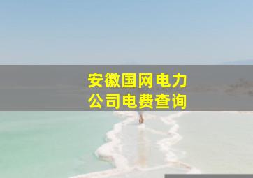 安徽国网电力公司电费查询