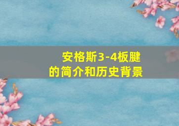 安格斯3-4板腱的简介和历史背景