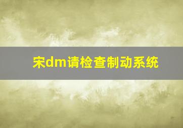 宋dm请检查制动系统