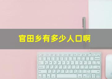 官田乡有多少人口啊