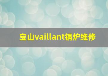 宝山vaillant锅炉维修