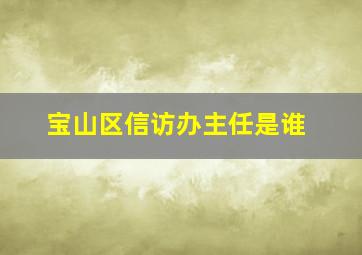 宝山区信访办主任是谁