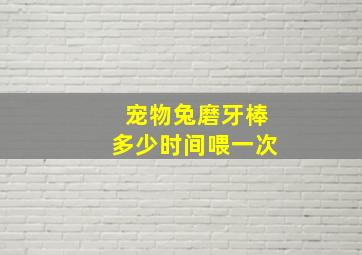 宠物兔磨牙棒多少时间喂一次