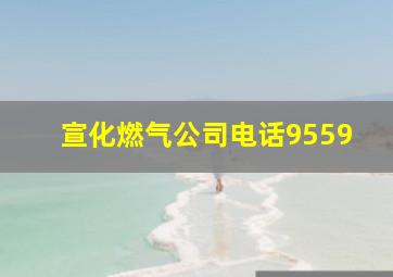 宣化燃气公司电话9559